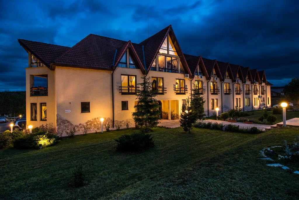 Conacul Archia Otel Deva Dış mekan fotoğraf
